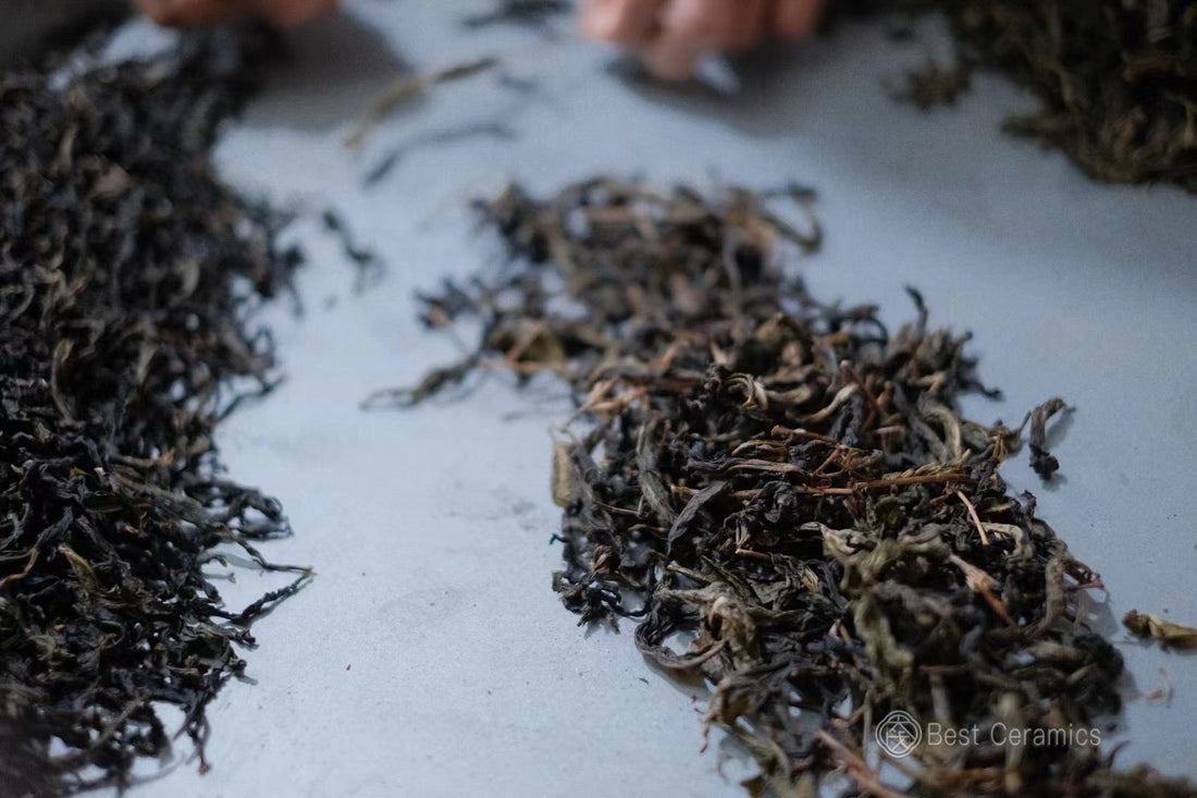 The Best Chinese Teas for Winter Warmth