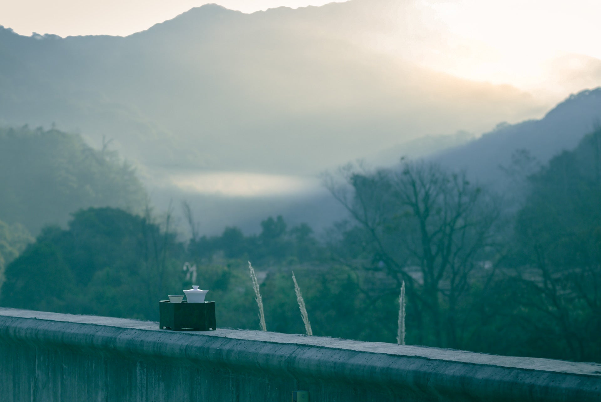 5 Simple Steps to Start Your Tea Meditation at Home