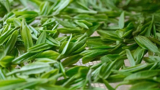 Longjing Tea: Unveiling the Essence of China’s Dragon Well