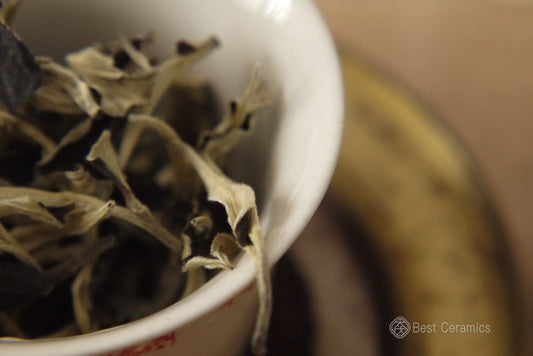 How Is White Tea Made?