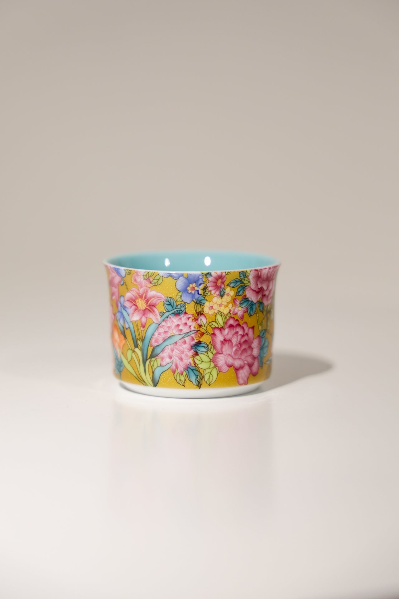 Six-Piece Hand-Painted Porcelain Teacup Set | Gilded Rim for Tea & Coffee