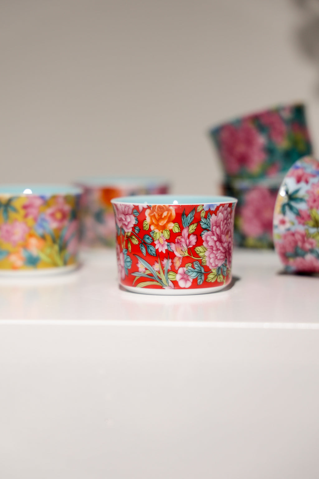 Six-Piece Hand-Painted Porcelain Teacup Set | Gilded Rim for Tea & Coffee