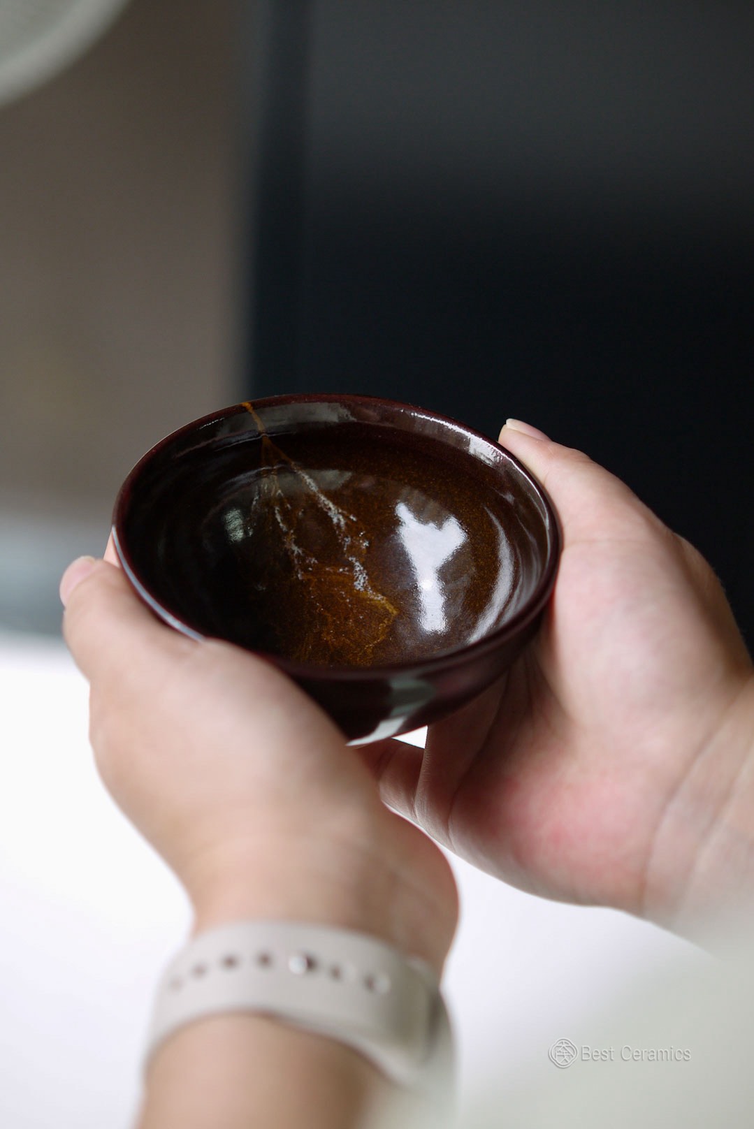 Tenmoku Leaf Artisan Tea Bowl