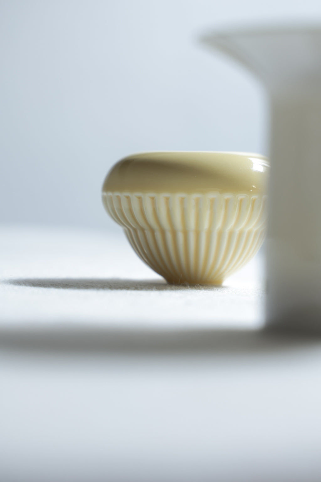 Compact Travel Gaiwan Set | Matte Cream Porcelain for Tea Anywhere