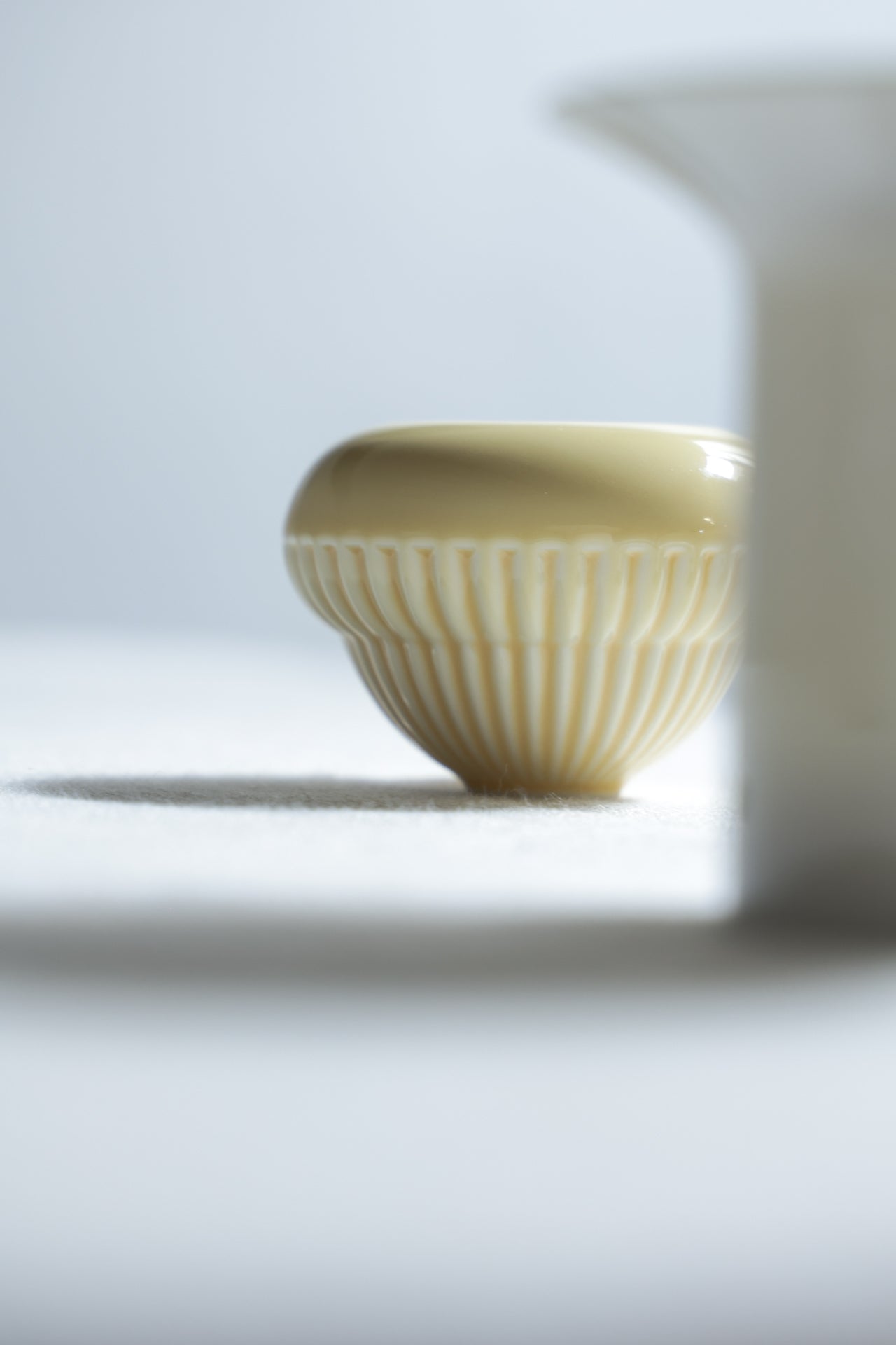 Compact Travel Gaiwan Set | Matte Cream Porcelain for Tea Anywhere