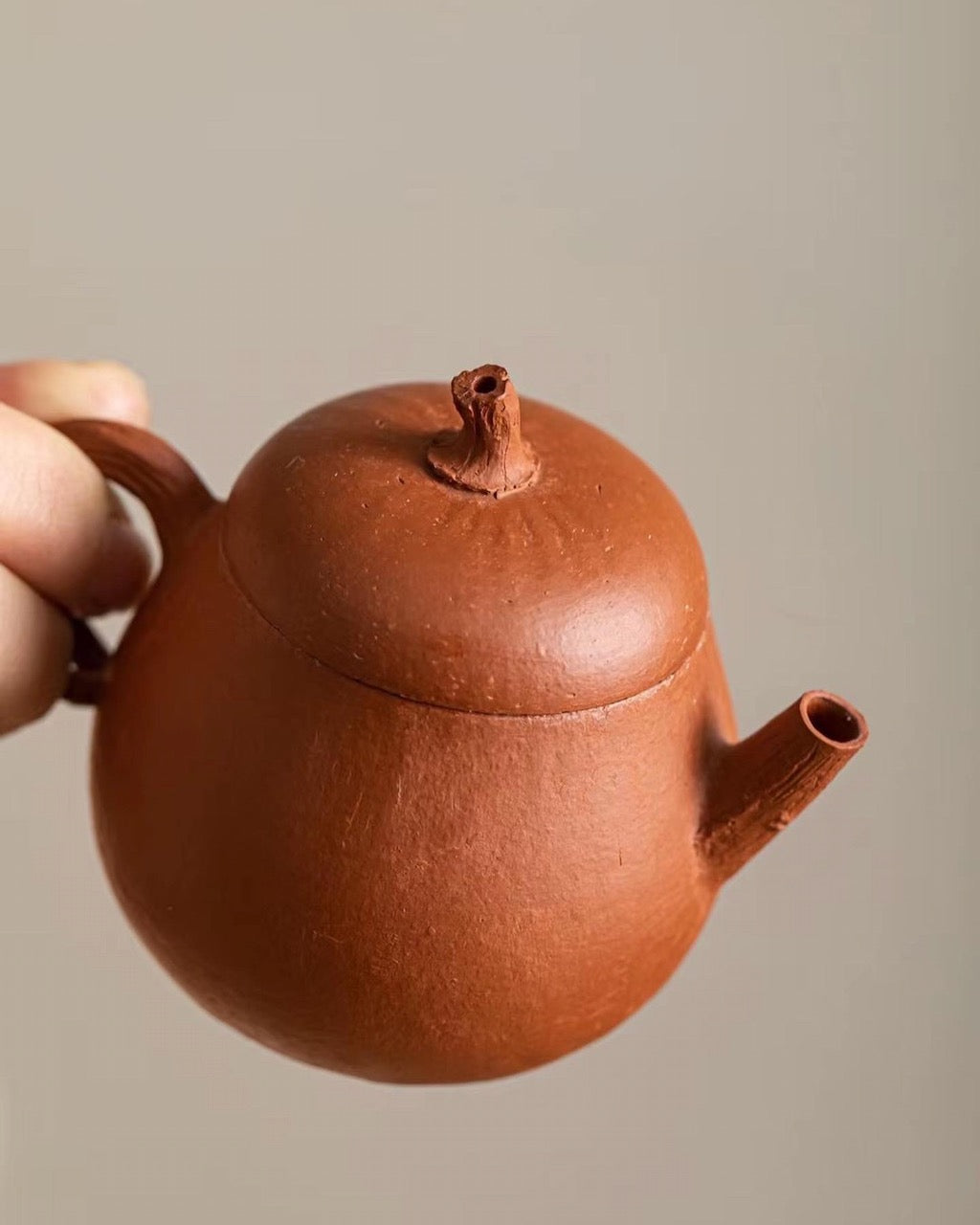 Mini Zisha Teapot Artisan-Crafted Unique Perfect for Yancha|BestCeramics